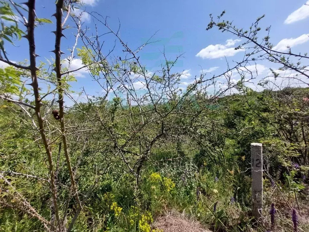 Участок в Крым, Симферопольский район, Добровское с/пос, с. Мраморное, ... - Фото 1