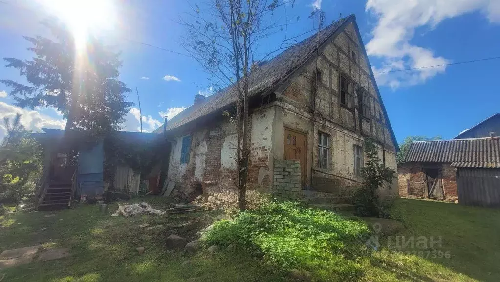 Помещение свободного назначения в Калининградская область, Гусевский ... - Фото 2