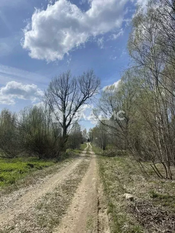 Участок в Владимирская область, Судогодский район, Головинское ... - Фото 1