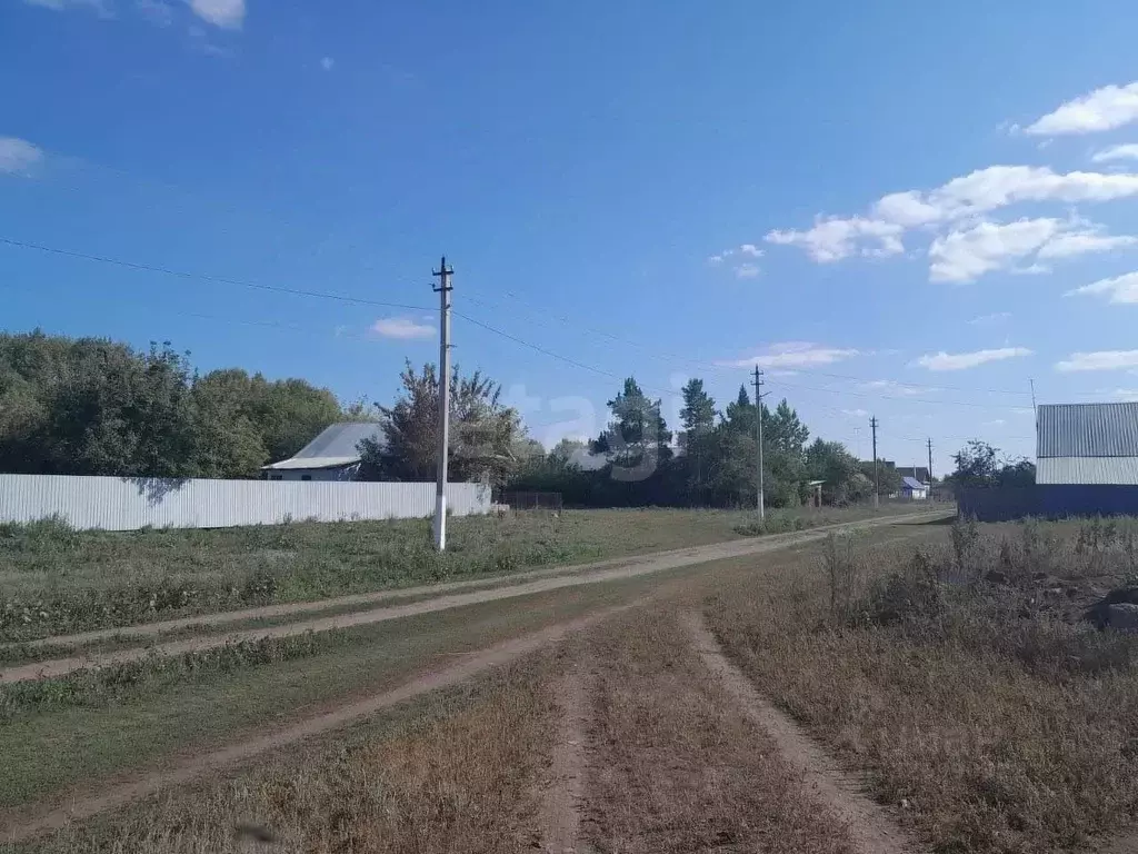 Участок в Оренбургская область, Саракташский район, Черноотрожский ... - Фото 2