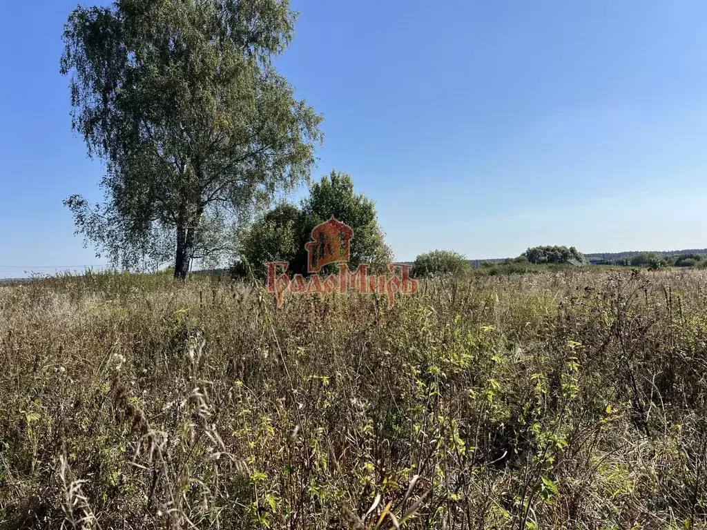 Участок в Владимирская область, Александровский район, Андреевское ... - Фото 1
