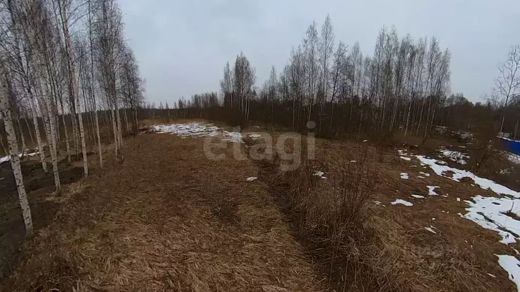 Участок в Ленинградская область, Гатчинский район, Ухта садоводческий ... - Фото 1