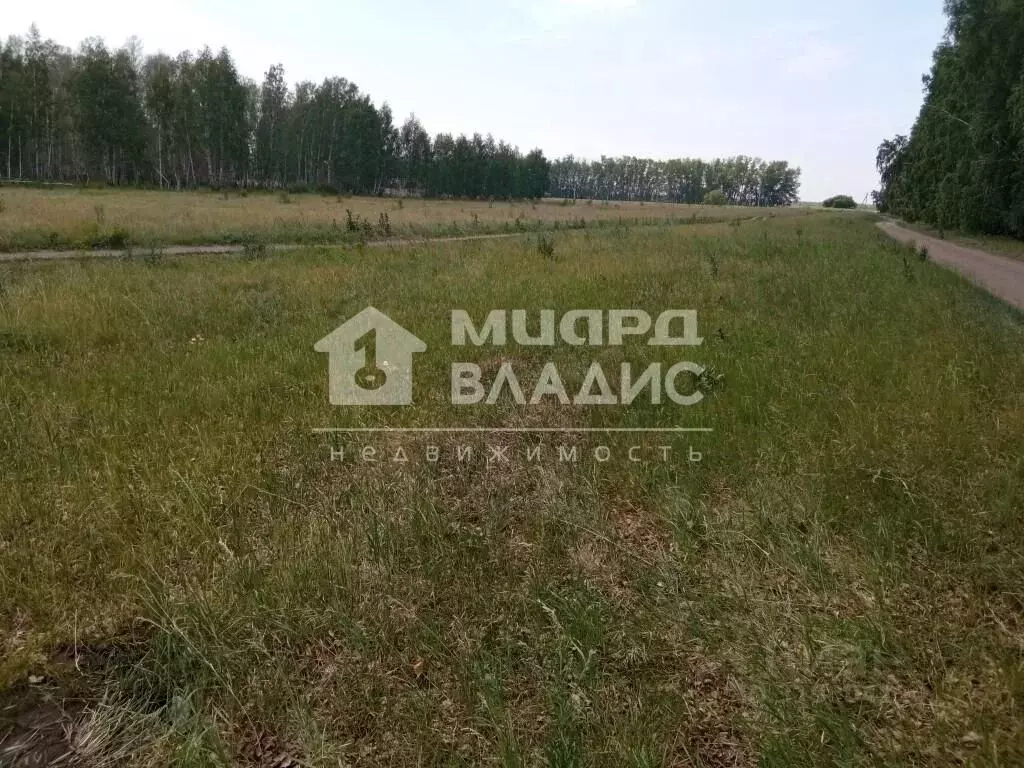Участок в Омская область, Омский район, с. Усть-Заостровка ул. 4-я ... - Фото 0