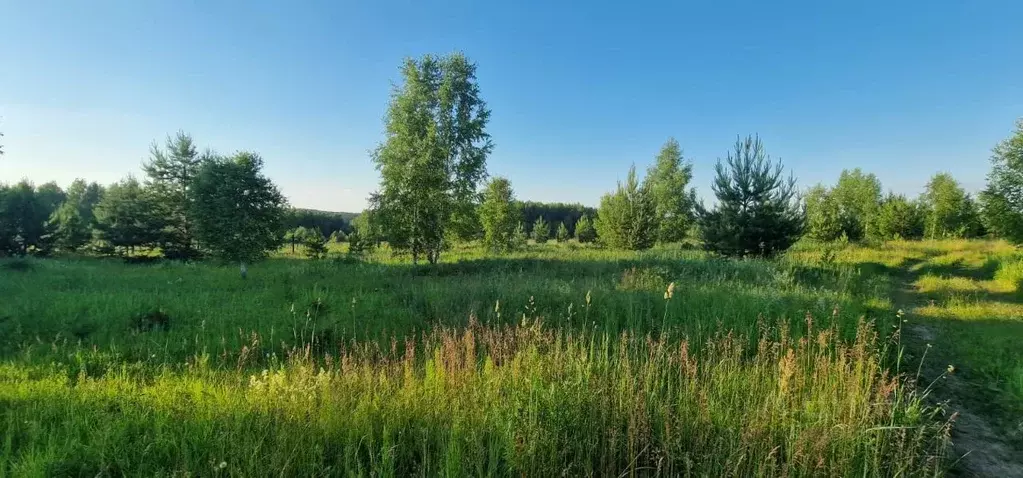 Участок в Тульская область, Ясногорский район, с. Иваньково ул. ... - Фото 1