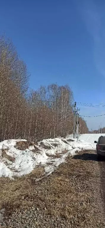 Участок в Кемеровская область, Кемеровский муниципальный округ, с. ... - Фото 1
