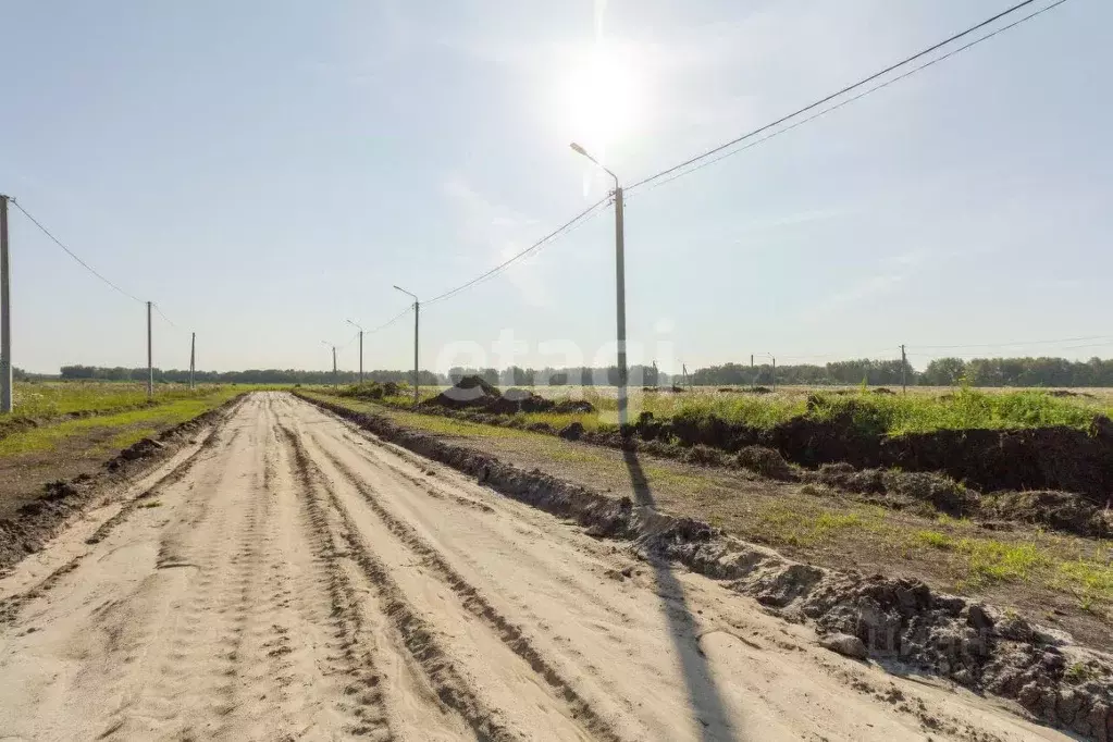 Участок в Тюменская область, Тюменский муниципальный округ, Каменское ... - Фото 1