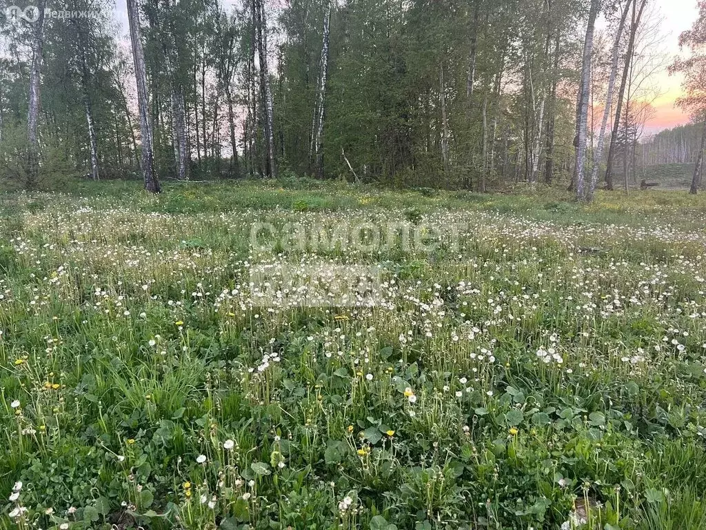 Участок в Домодедово, территория КП Данилово парк (6.6 м) - Фото 2