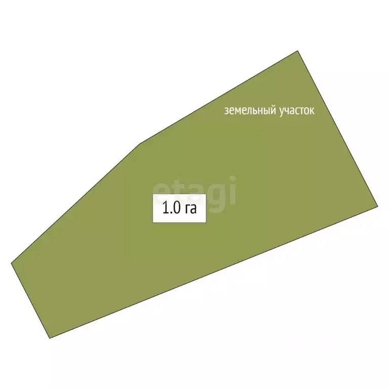 Участок в Алтай, Майминский район, пос. Алферово  (100.1 сот.) - Фото 2