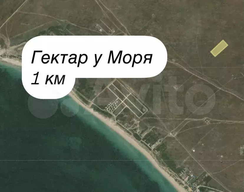 Участок 100 сот. (СНТ, ДНП) - Фото 0