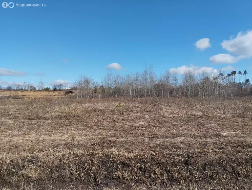 Участок в Читинский район, посёлок Забайкальский (15 м) - Фото 1