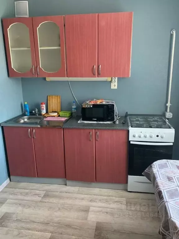 1-к кв. Курганская область, Курган ул. Аргентовского, 44 (34.0 м) - Фото 2