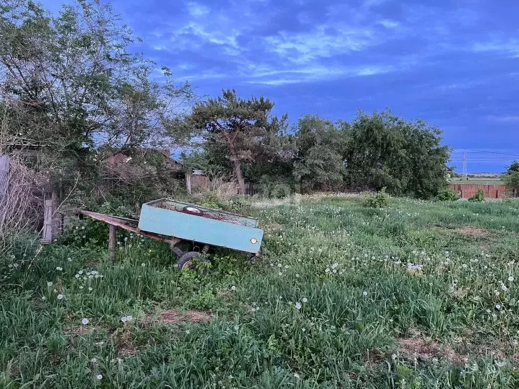 Участок в Амурская область, с. Тамбовка ул. Новая (20.0 сот.) - Фото 1