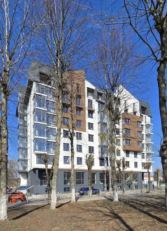 4-к кв. Калининградская область, Светлый ул. Яльцева, 3 (130.0 м) - Фото 1