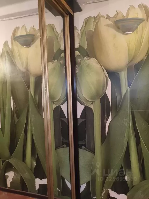 3-к кв. Санкт-Петербург ул. Кржижановского, 3К3 (72.0 м) - Фото 1