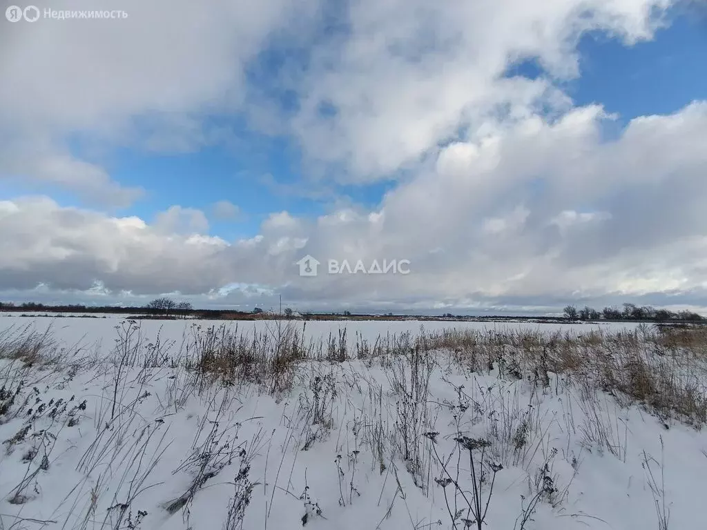 Дом в Московская область, городской округ Коломна, деревня Негомож, ... - Фото 2