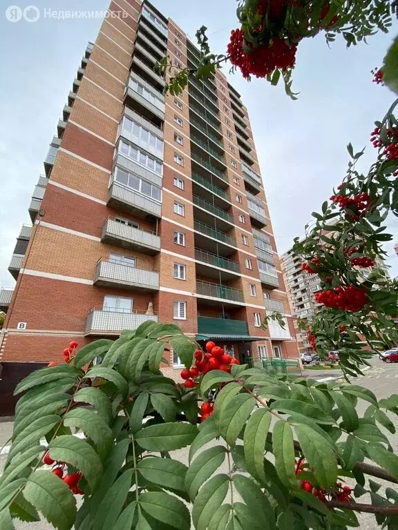 Квартира-студия: Иркутск, улица Розы Люксембург, 118/5 (27 м) - Фото 1