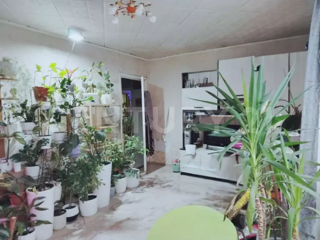 Дом в Алтайский край, Первомайский район, с. Березовка Центральная ... - Фото 1