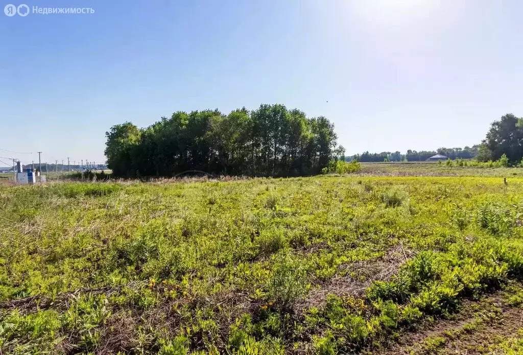 Участок в Тюменский район, деревня Большие Акияры (8.2 м) - Фото 0