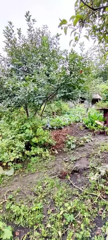 Участок в Ставропольский край, Кисловодск ул. Щербакова (9.0 сот.) - Фото 1