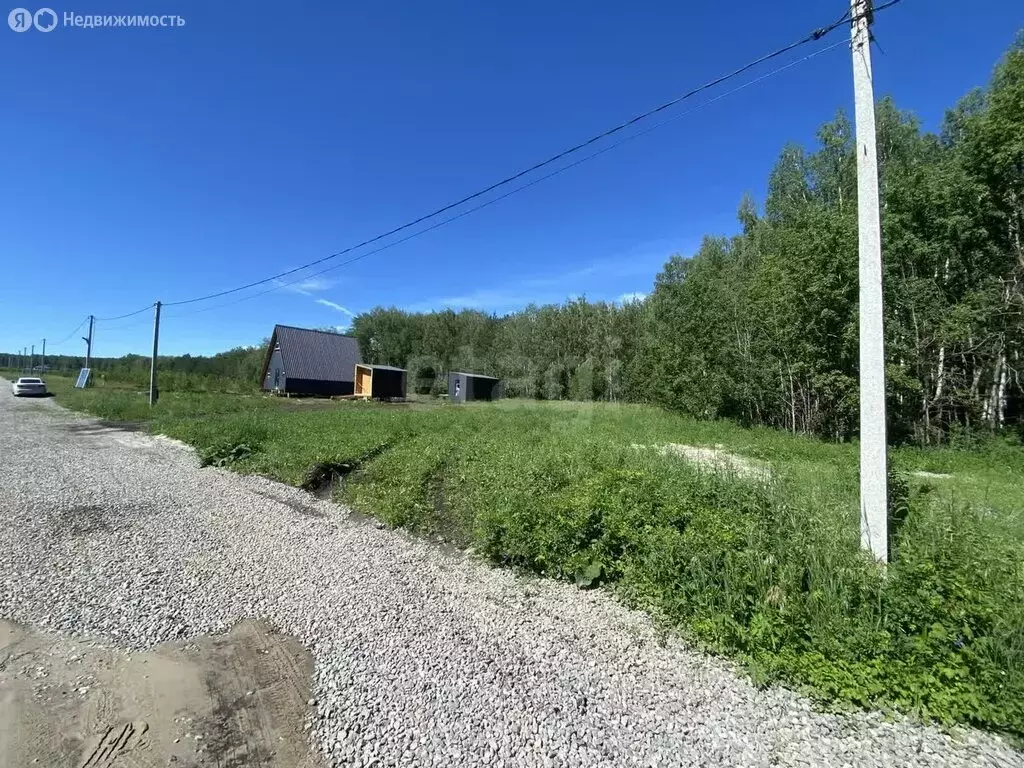 Участок в Тюменский район, село Кулига (11.55 м) - Фото 1