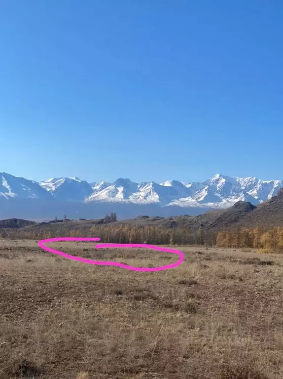 Участок в Алтай, Кош-Агачский район, с. Курай  (100.0 сот.) - Фото 1