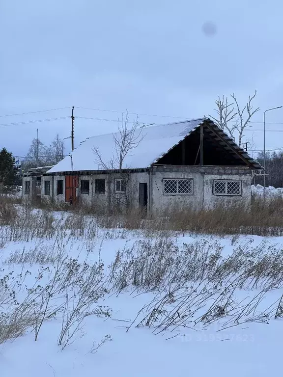 Помещение свободного назначения в Омская область, Кормиловка рп ул. 60 ... - Фото 0