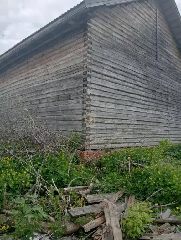 Дом в Тамбовская область, Тамбовский муниципальный округ, с. Донское ... - Фото 1