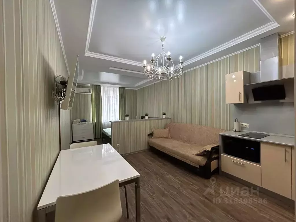 Студия Краснодарский край, Сочи Виноградная ул., 22/1Б (35.0 м) - Фото 0