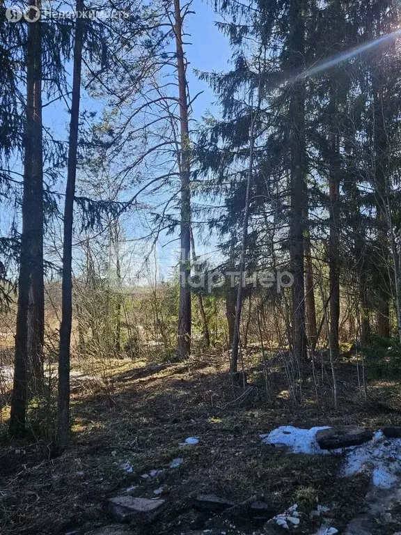 Участок в Ленинградская область, Гатчинский муниципальный округ, ... - Фото 2