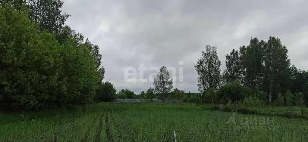Участок в Владимирская область, Муром д. Иваньково, ул. Школьная (10.0 ... - Фото 0