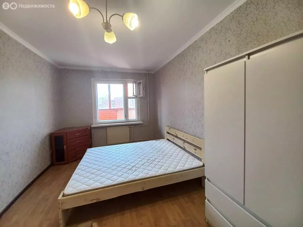 1-комнатная квартира: Санкт-Петербург, Камышовая улица, 48к3 (32 м) - Фото 1