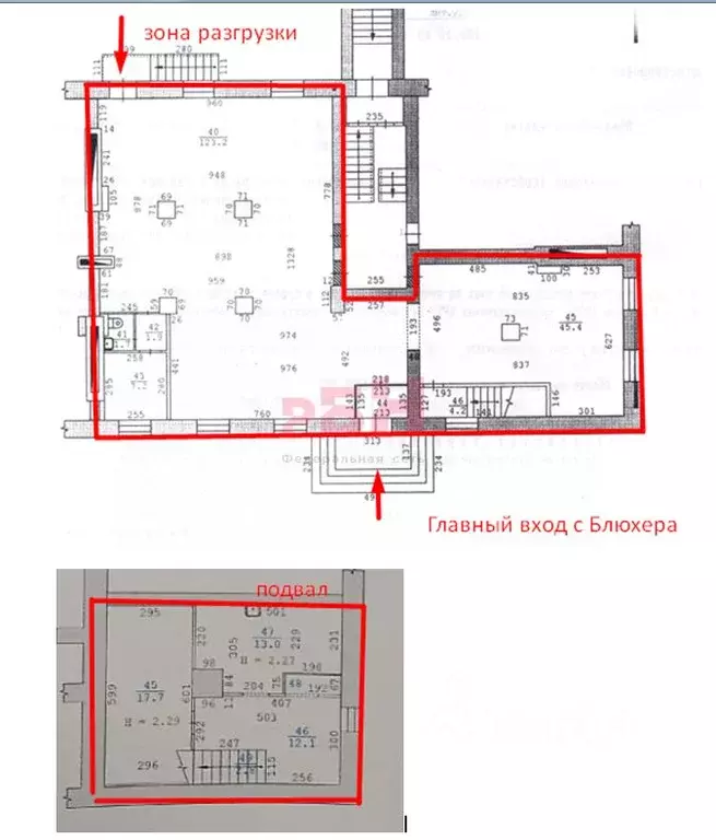 Торговая площадь в Свердловская область, Екатеринбург ул. Блюхера, 12 ... - Фото 2