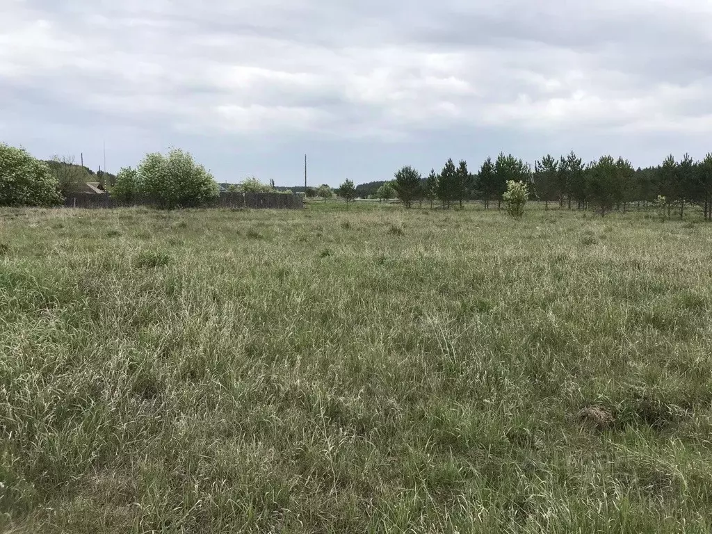 Участок в Свердловская область, Каменский городской округ, д. Давыдова ... - Фото 0