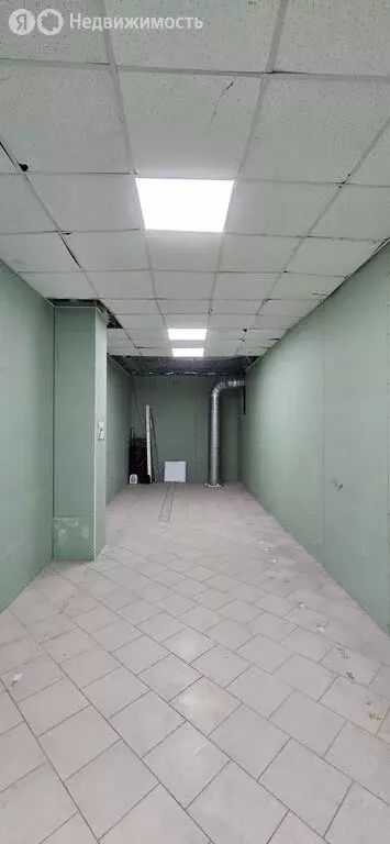 Помещение свободного назначения (244 м) - Фото 2