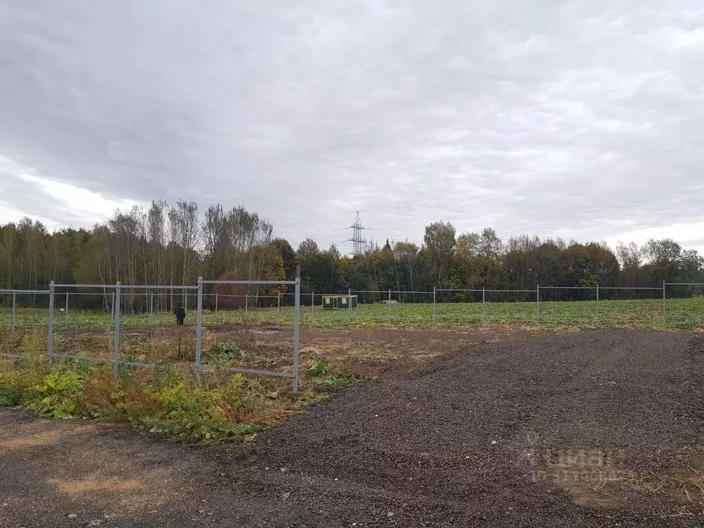 Участок в Московская область, Клин городской округ, д. Соголево  (6.0 ... - Фото 1