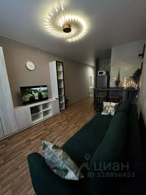 1-к кв. Псковская область, Остров ул. Освобождения, 7А (27.0 м) - Фото 1