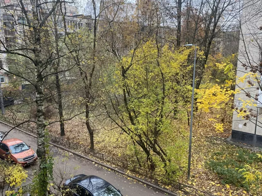 2-к кв. Санкт-Петербург ул. Солдата Корзуна, 15 (46.2 м) - Фото 1