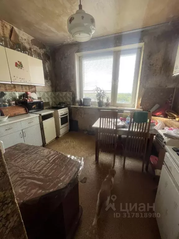Комната Московская область, Домодедово Авиационный мкр, просп. ... - Фото 0
