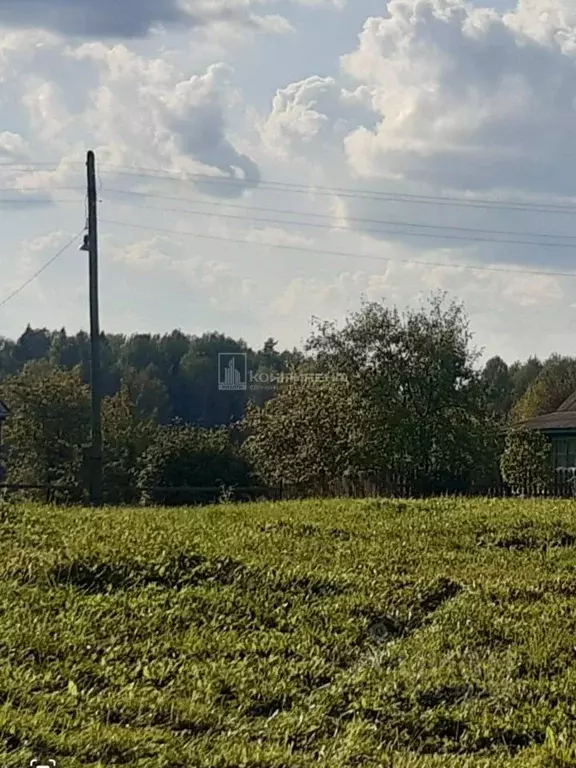 Участок в Владимирская область, Ковровский район, Новосельское с/пос, ... - Фото 1