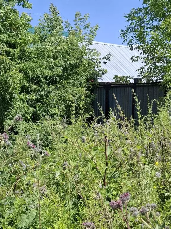 Дом в Челябинская область, Челябинск Златоустовская ул., 21 (29 м) - Фото 1