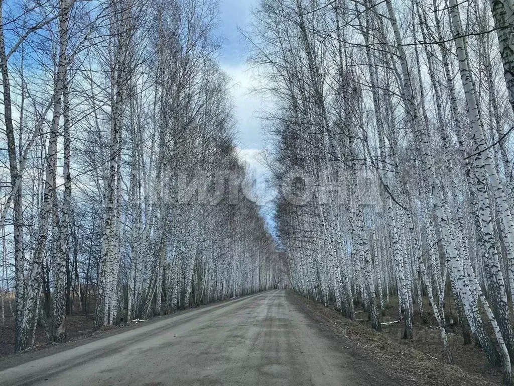 Участок в Новосибирская область, Мошковский район, Индия кп, ... - Фото 0