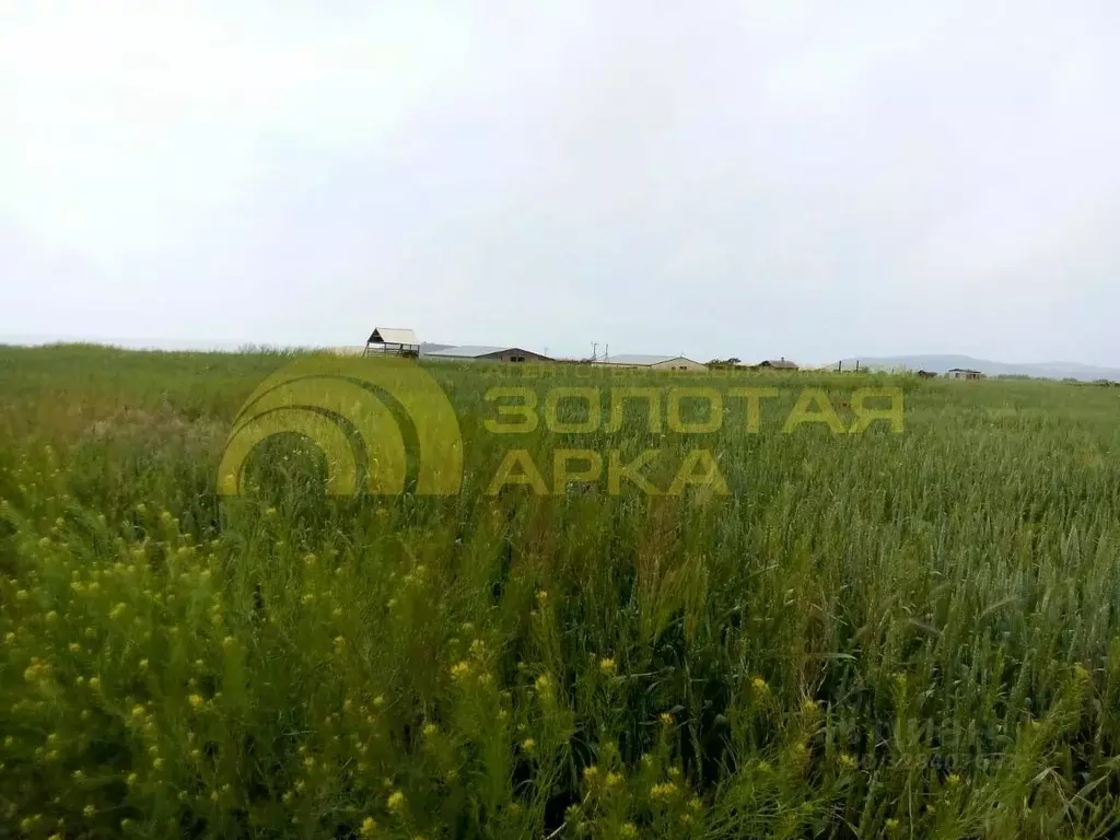 Участок в Краснодарский край, Темрюкский район, Фонталовское с/пос, ... - Фото 2