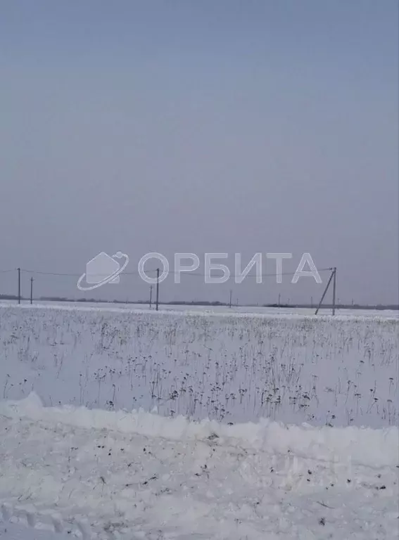 Участок в Тюменская область, Тюменский район, д. Марай  (9.85 сот.) - Фото 0