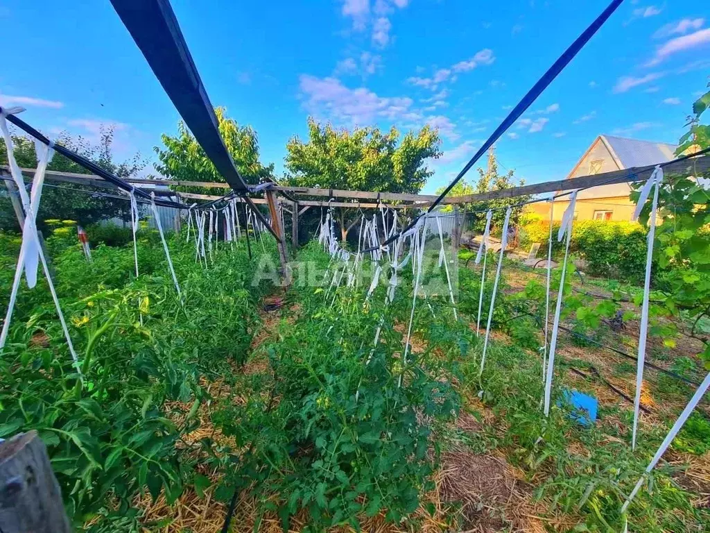 Участок в Краснодарский край, Усть-Лабинск проезд Владимира Высоцкого ... - Фото 2