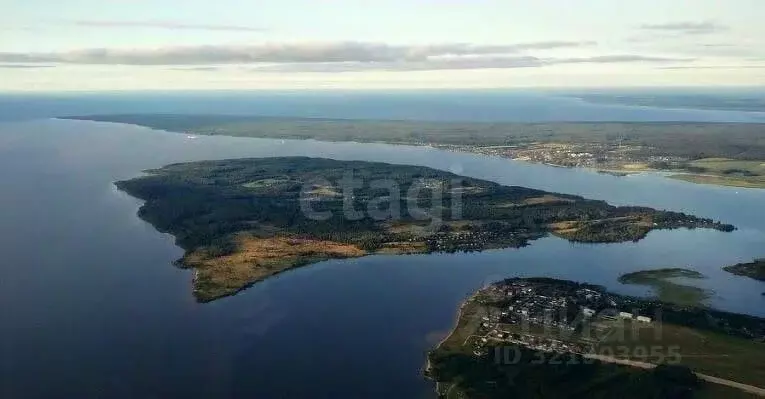 Участок в Ярославская область, Рыбинский муниципальный округ, д. ... - Фото 0
