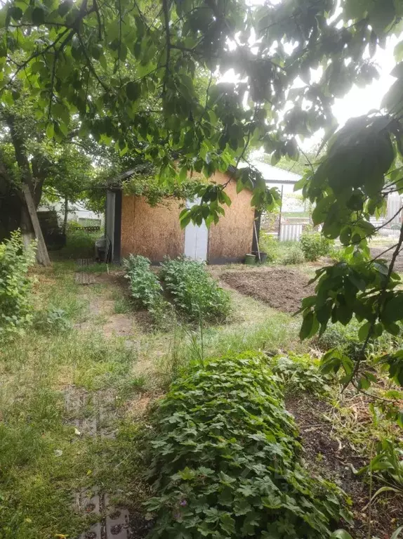 Дом в Крым, Симферополь Белое-4 кв-л,  (110 м) - Фото 0