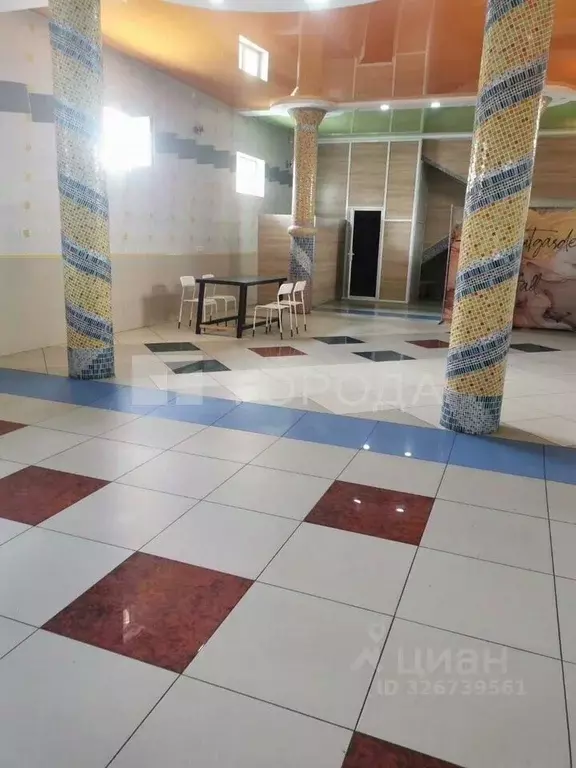 Помещение свободного назначения в Новосибирская область, Новосибирск ... - Фото 2