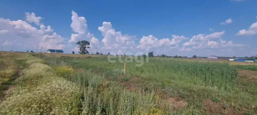 Участок в Воронежская область, Борисоглебский городской округ, с. ... - Фото 0
