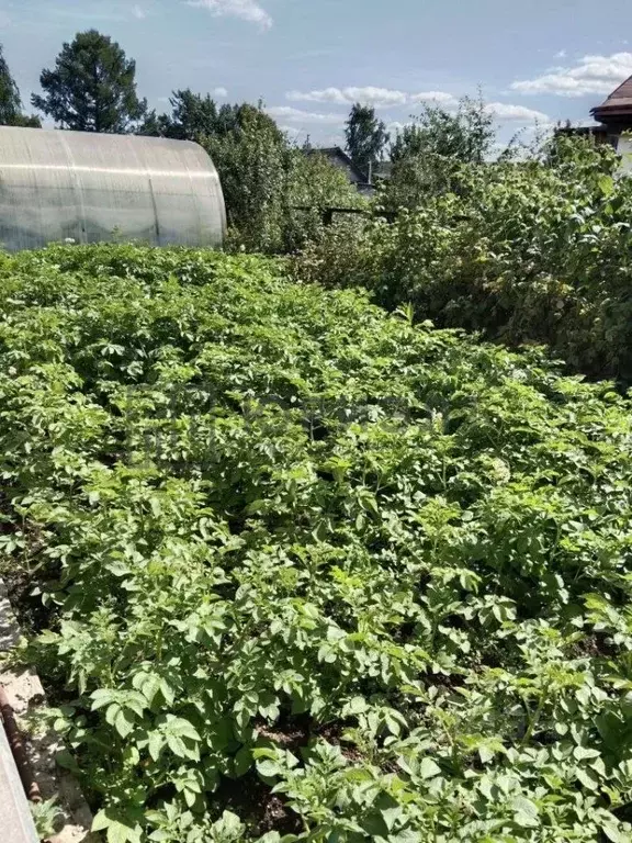 Дом в Свердловская область, Нижний Тагил Калужская ул., 70 (44 м) - Фото 2