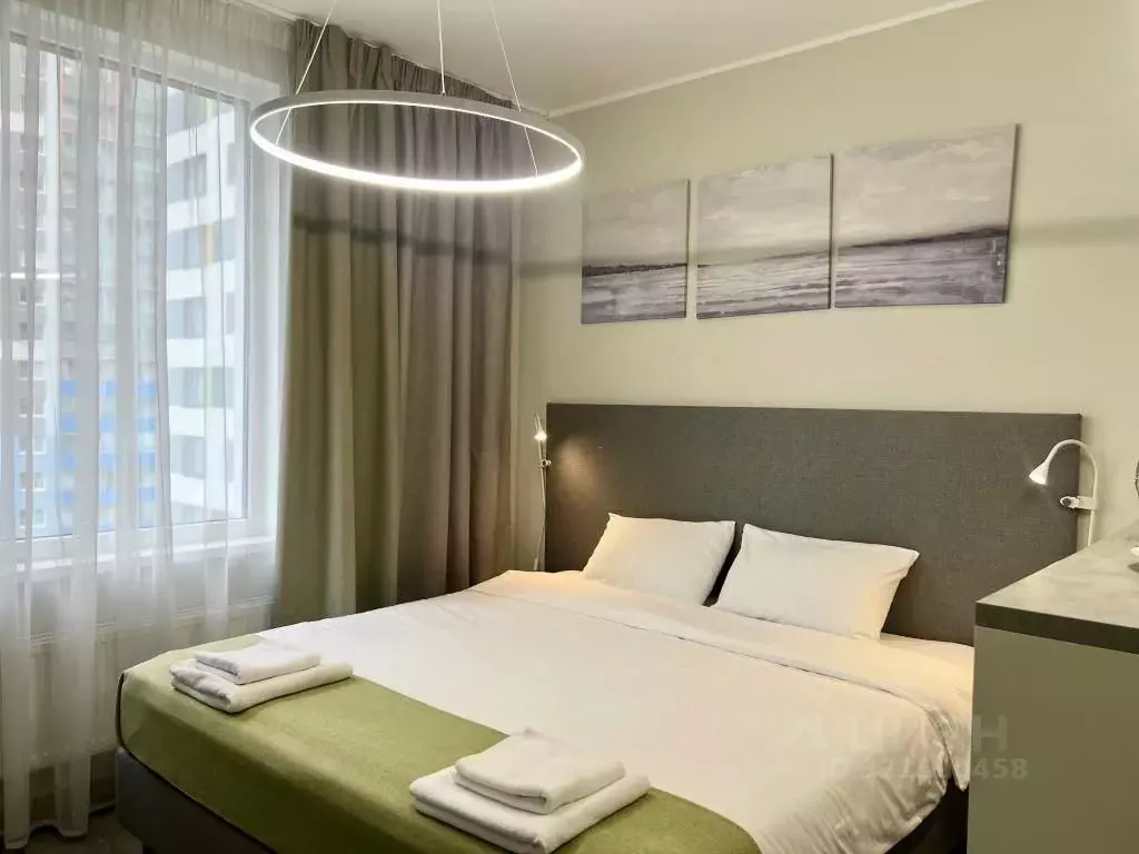 1-к кв. Санкт-Петербург Витебский просп., 101к1 (27.0 м) - Фото 2